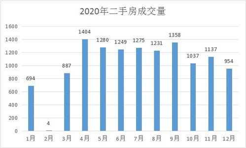诸城二手房市场深度解析，投资与自住的双重考量