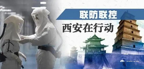 东莞疫情最新动态，数据解析与防控措施综述