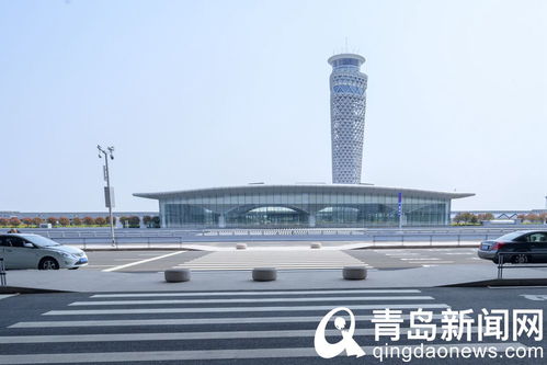 揭开贫困的面纱，家庭贫困原因的深度解析