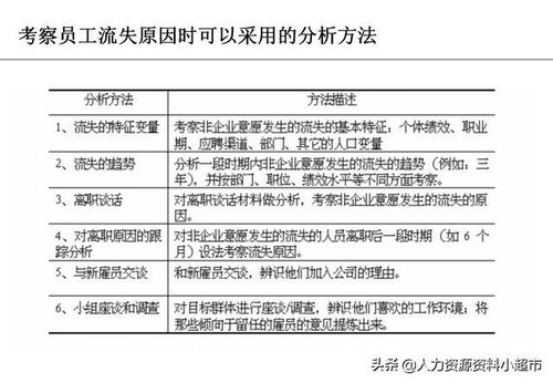 员工离职表，揭示职场流动的真相与应对策略