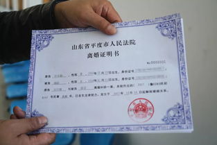 揭开结婚证书查询的神秘面纱，如何查询、重要性及法律效力解析