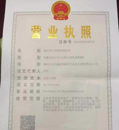 太原代办执照，企业注册的便捷之路