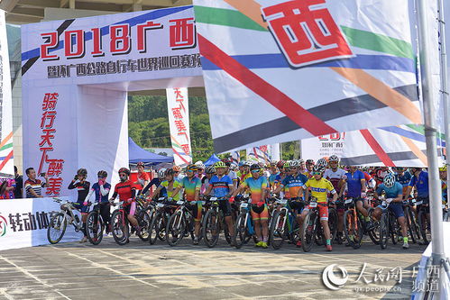 南宁疫情，挑战与应对，城市如何在危机中前行