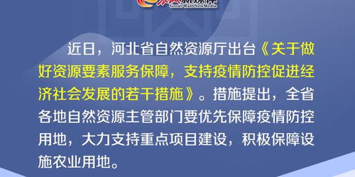 河北最新疫情防控政策解读，保障健康，共筑防线