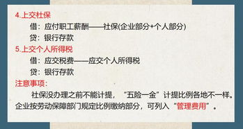 五险一金的账务处理，深入理解与实践指南