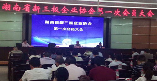 新三板，资本市场的新兴舞台，中小企业的融资新天地