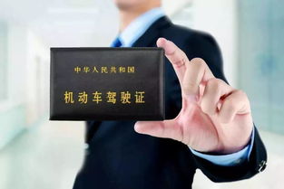 驾驶执照年审，保障安全，守护你我