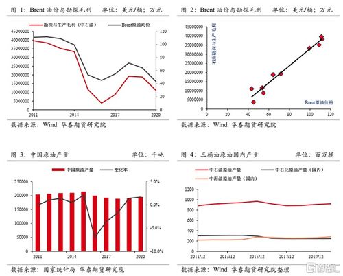 石油特别收益金，能源市场的调节器与经济影响