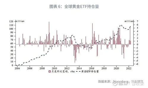石油特别收益金，能源市场的调节器与经济影响