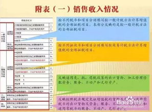 全面掌握所得税申报，流程、策略与常见问题解析