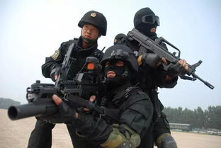守护平安的盾牌，深入了解中国人民武装警察法