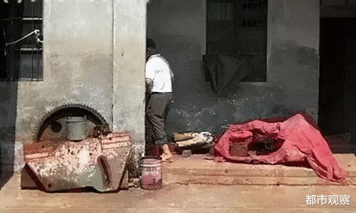 南京杀妻碎尸案，法律与人性的较量