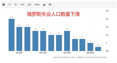 深圳平均工资，揭秘经济特区的薪酬真相