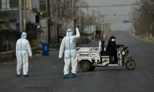 湖南疫情新动态，新增确诊2例，本土病例1例的深度解析与应对策略