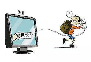 全面解读交通意外保险，保障与预防并重