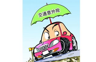 全面解读交通意外保险，保障与预防并重