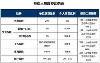 深入了解三险一金，缴纳比例全解析