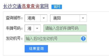 网上查车辆违章记录，便捷、高效，让违章无处遁形