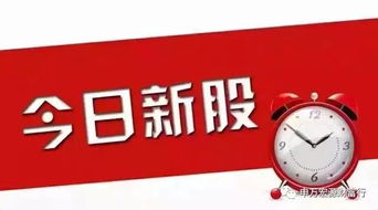 新股申购新规则，开启财富之门的金钥匙