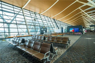 云南封城，最新动态与影响分析