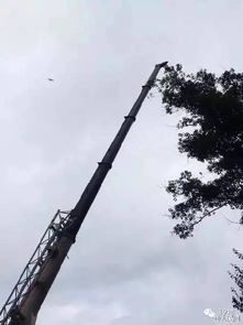 玩滑翔伞时，如何避免触电的尴尬？