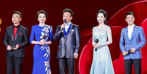 央视主持人名单更新，新面孔与老将的交织