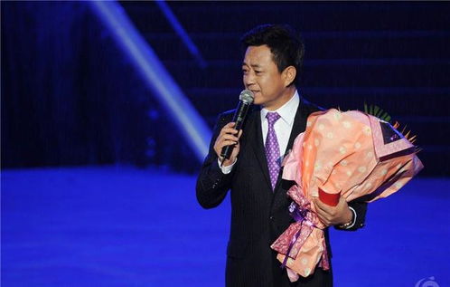 央视主持人名单更新，新面孔与老将的交织