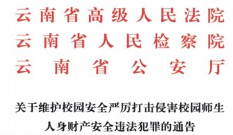 深入解析责任追究制度，维护社会正义的基石