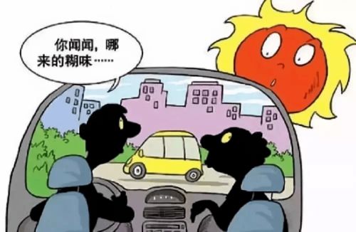 平顶山交通事故，了解原因与防范措施