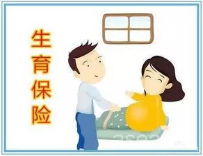 呵护未来，女性生育保险的温馨守护