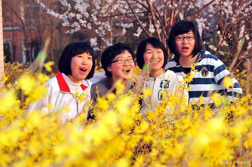 高校放春假鼓励恋爱，一场关于青春与浪漫的革新尝试