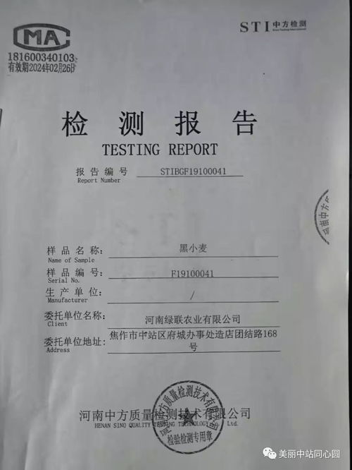 试用期考核合格证明，企业与员工的桥梁