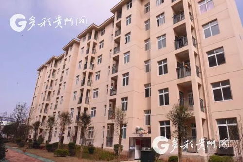 船营区二手房，安居乐业的智慧之选