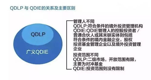 深入了解其他货币资金，概念、应用与管理