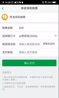 养老保险缴费全解析，如何查询、缴费标准及常见问题解答