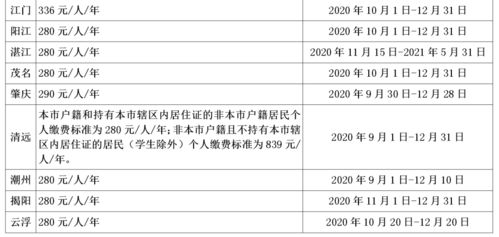 养老保险缴费全解析，如何查询、缴费标准及常见问题解答