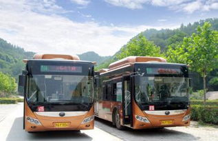 公交车上的人生百态，城市流动的缩影