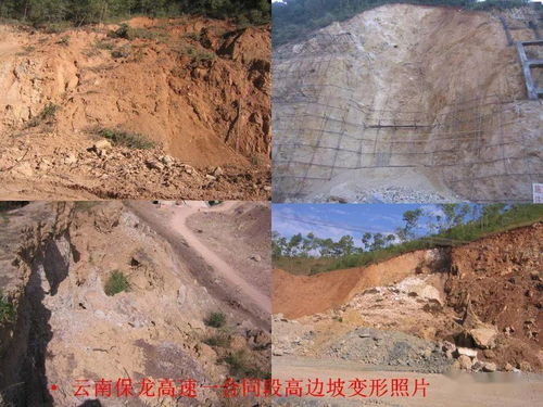 全面解析，车险种类与选择指南