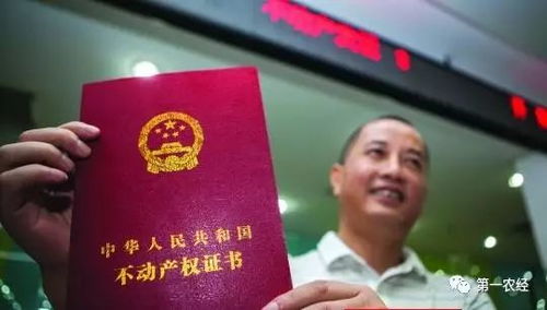 他项权证，理解不动产权益的钥匙