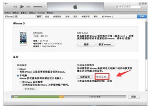 石家庄车辆违章记录查询，简单步骤与实用技巧