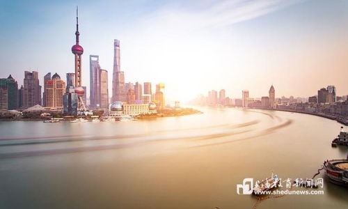 上海对游烟族出手了，城市治理的新挑战与应对