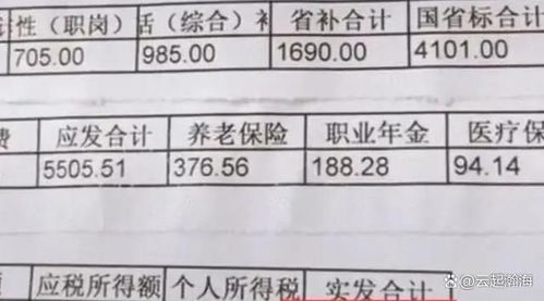深入解析，教师工资标准的构成与影响因素