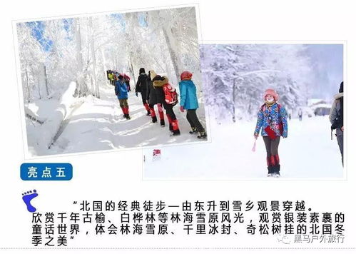 蜜雪日本，从甜蜜到开放加盟的跨越