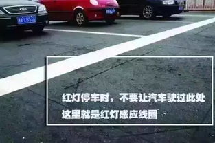 了解电子眼违章，安全驾驶更无忧