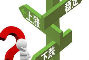 住房按揭贷款，理解、策略与未来展望