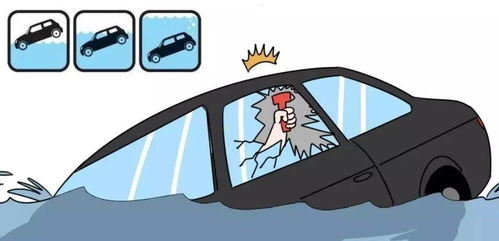 一井盖飞起砸穿车窗，城市隐患与我们的安全