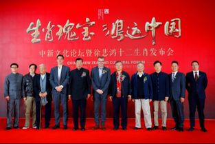 外交桥梁，外事委员会在专门委员会中的独特角色