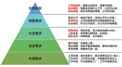 高效管理的艺术，如何提升公司员工的绩效与满意度