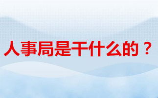 人事局是干什么的？全面解析其职能与作用