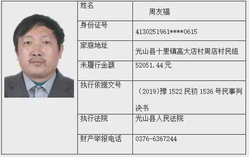 深入了解失信被执行人名单查询，保护权益，维护信用